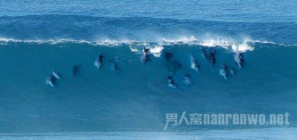甘肃中医药产业呈现良好发展态势